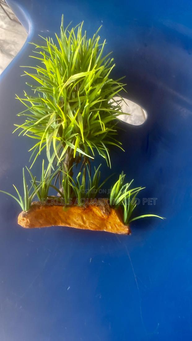 Green Aquarium Plant · Photo 1