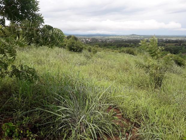 3 Plot for Sale at Akosobo · Photo 1