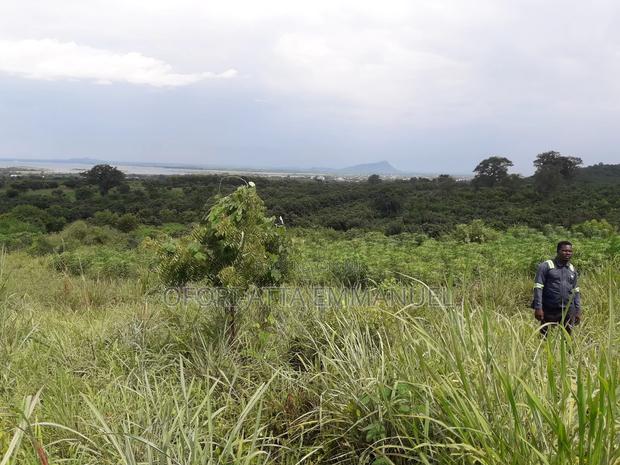3 Plot for Sale at Akosobo · Photo 2