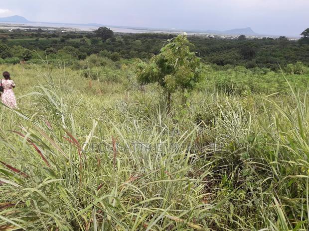 3 Plot for Sale at Akosobo · Photo 5