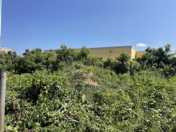 Land With Walled and Gate 4 Sale at West Trasacco · Photo 2