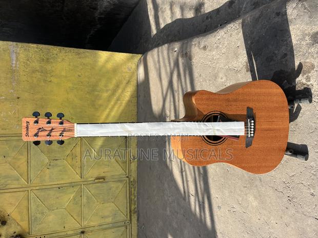 Stringberg Semi-Acoustic Guitar · Photo 1