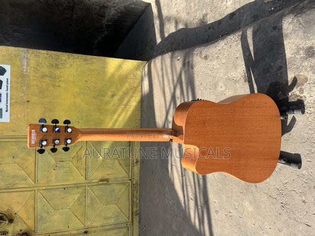 Stringberg Semi-Acoustic Guitar · Photo 3