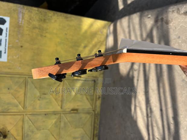 Stringberg Semi-Acoustic Guitar · Photo 4