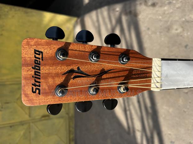 Stringberg Semi-Acoustic Guitar · Photo 5