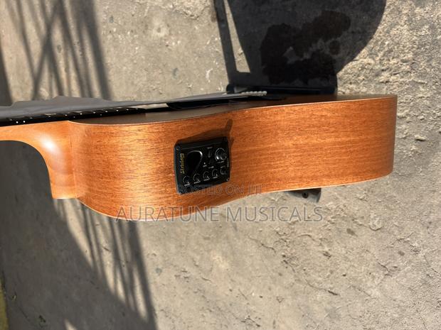 Stringberg Semi-Acoustic Guitar · Photo 6