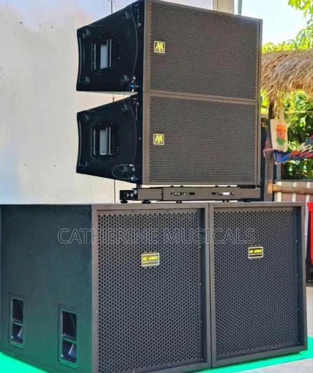 Ev Single Sub With Jac 10 Inches Line Array · Photo 2