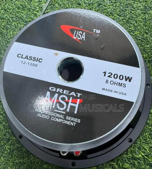 12 Inches Double Magnet Line Arry Speaker · Photo 1