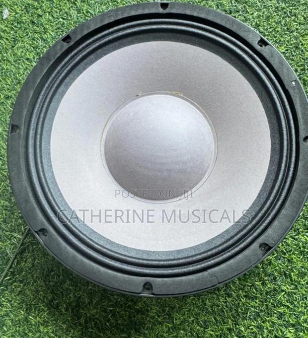 12 Inches Double Magnet Line Arry Speaker · Photo 2