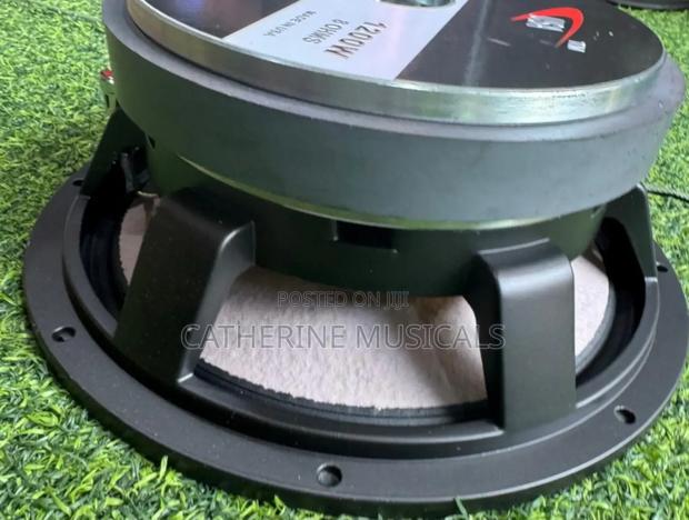 12 Inches Double Magnet Line Arry Speaker · Photo 3