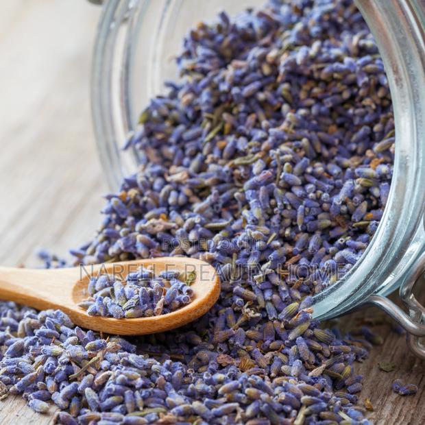 Lavender Buds · Photo 1