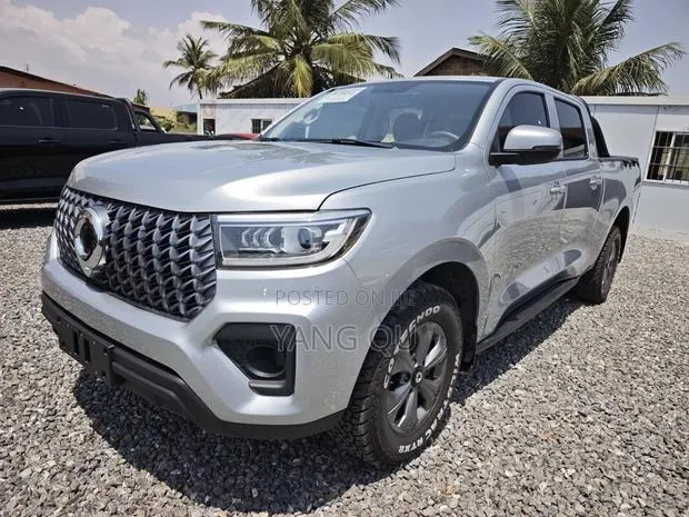 Great Wall Poer Premium 2024 Silver · Photo 1