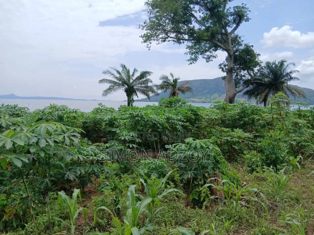 10 Acres of Land Close to Volta River for Sale · Photo 3