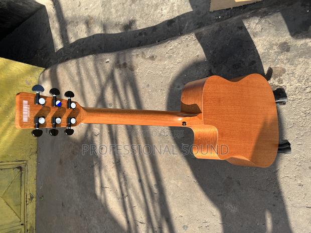 Acoustic Guitar (Strinberg) · Photo 2