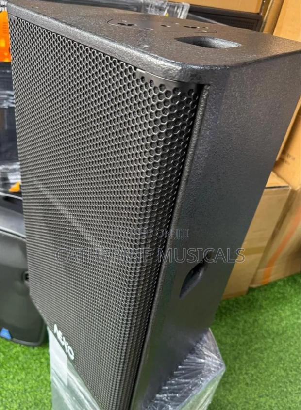 Nexo Passive 15 Inches Speaker · Photo 3