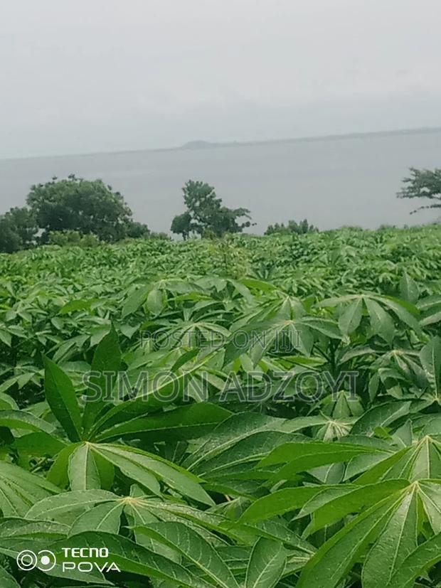 Riverfonte Land for Fish Farming or Crop Farming · Photo 1