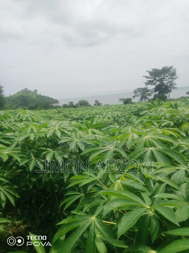 Riverfonte Land for Fish Farming or Crop Farming · Photo 4