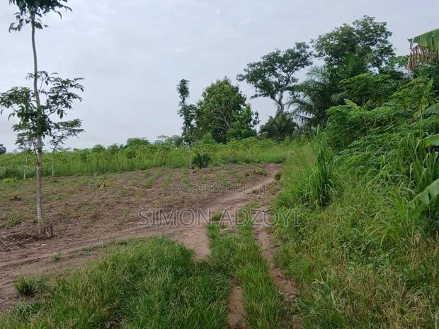 Registered 100 Plot of Land for Sale · Photo 4