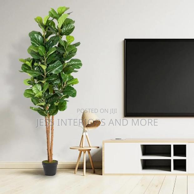 Artificial Plant (Fiddle Tree)180cm · Photo 3