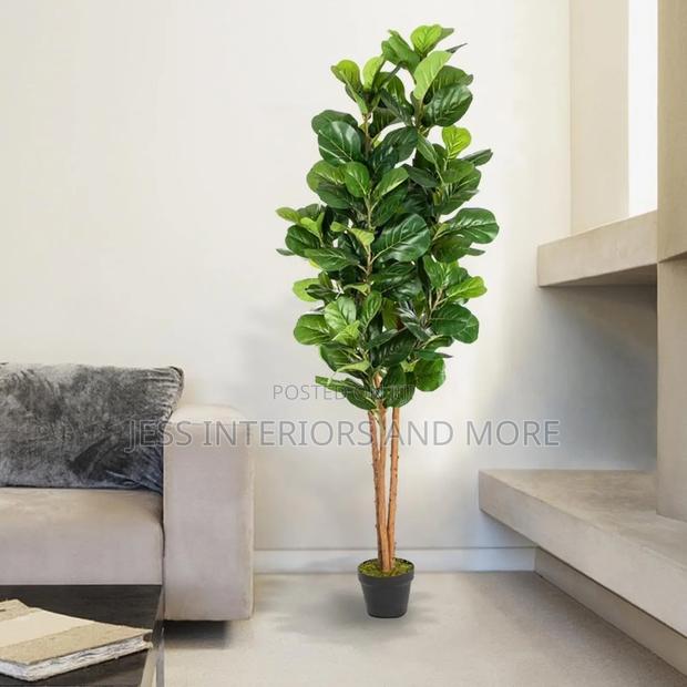 Artificial Plant (Fiddle Tree)180cm · Photo 1