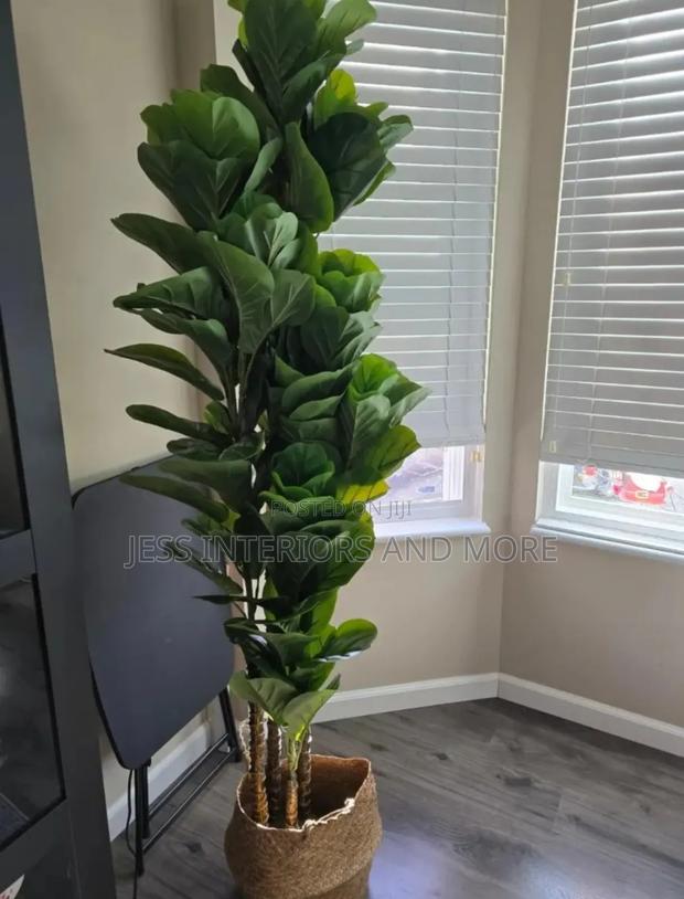 Artificial Plant (Fiddle Tree)180cm · Photo 2