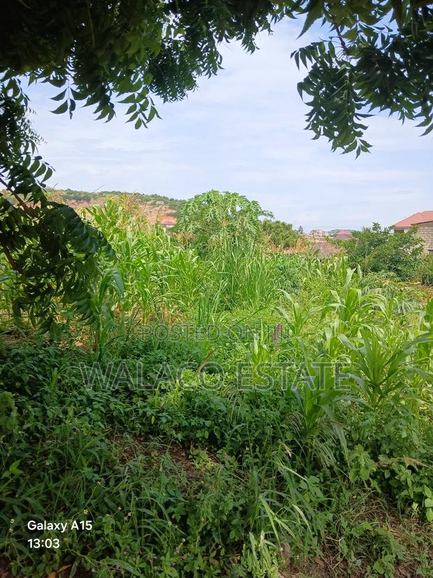 2plots of Land at Botiano for Sale · Photo 3