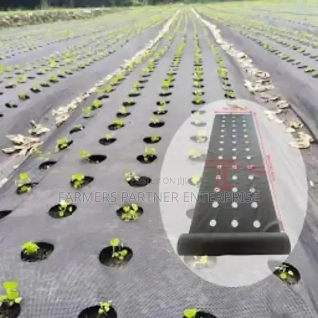 Woven Mulch Material With Holes