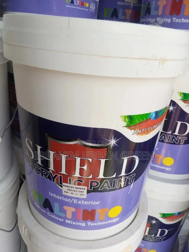 White Paint Shield · Photo 1