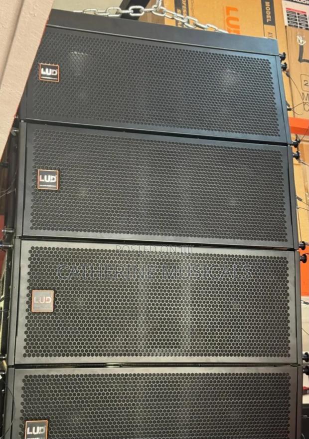 Lud 12- Inches Line Array Speaker · Photo 1