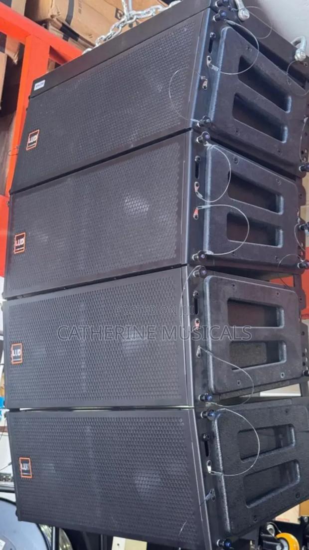 Lud 12- Inches Line Array Speaker · Photo 2