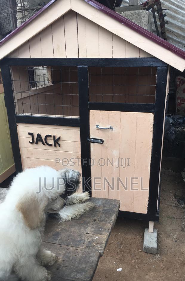 Kennel (Dog Cage) · Photo 6