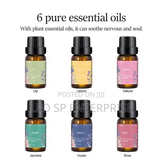 Diffuser Fragrance Oils Set of 6 · Photo 2