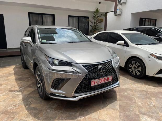 Lexus NX 300 AWD 2019 Gray · Photo 2