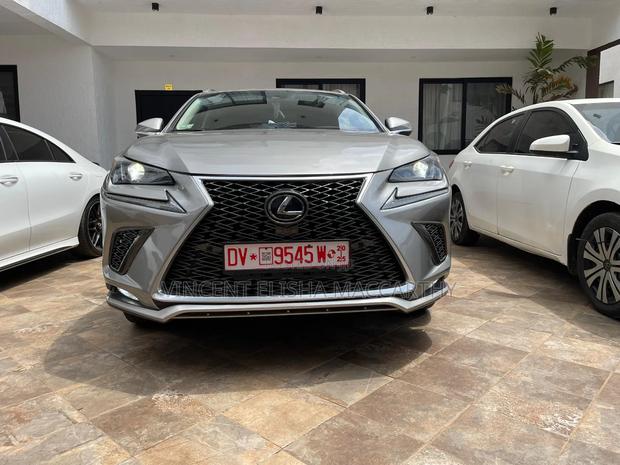 Lexus NX 300 AWD 2019 Gray · Photo 4