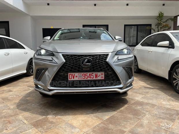 Lexus NX 300 AWD 2019 Gray · Photo 6