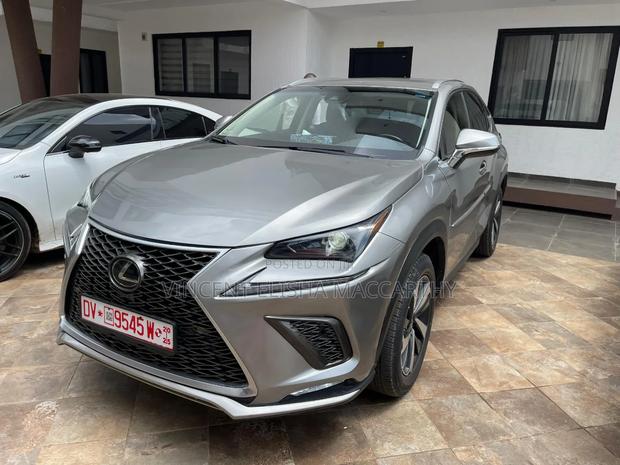 Lexus NX 300 AWD 2019 Gray · Photo 7