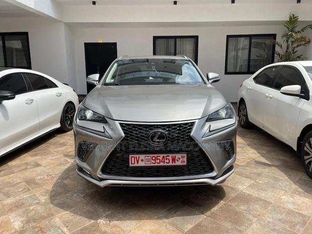 Lexus NX 300 AWD 2019 Gray · Photo 8