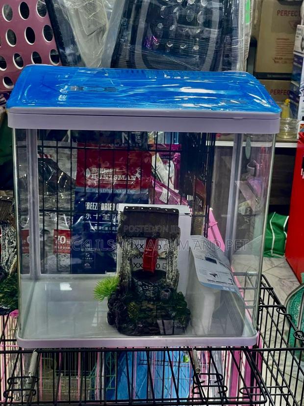 1 Feet Aquarium ( Miss Princes Aquarium ) · Photo 1