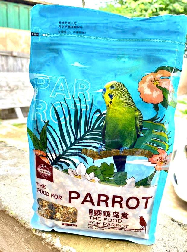 Miss Nun Parrot Food · Photo 1