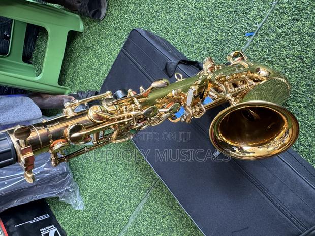Saxophone/Alto- Suck · Photo 5