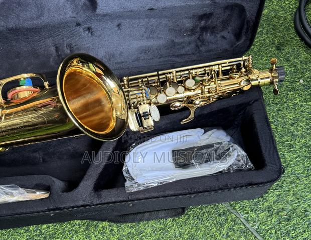 Saxophone/Alto- Suck · Photo 8