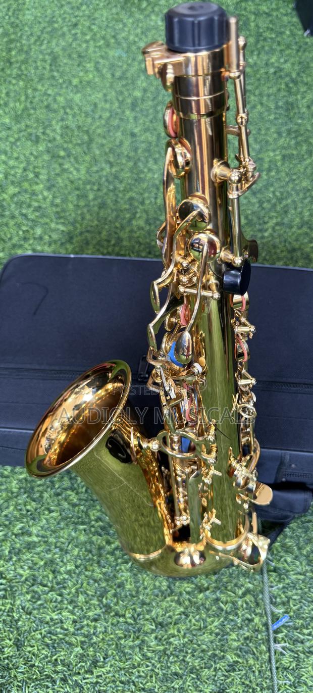 Saxophone/Alto- Suck · Photo 6