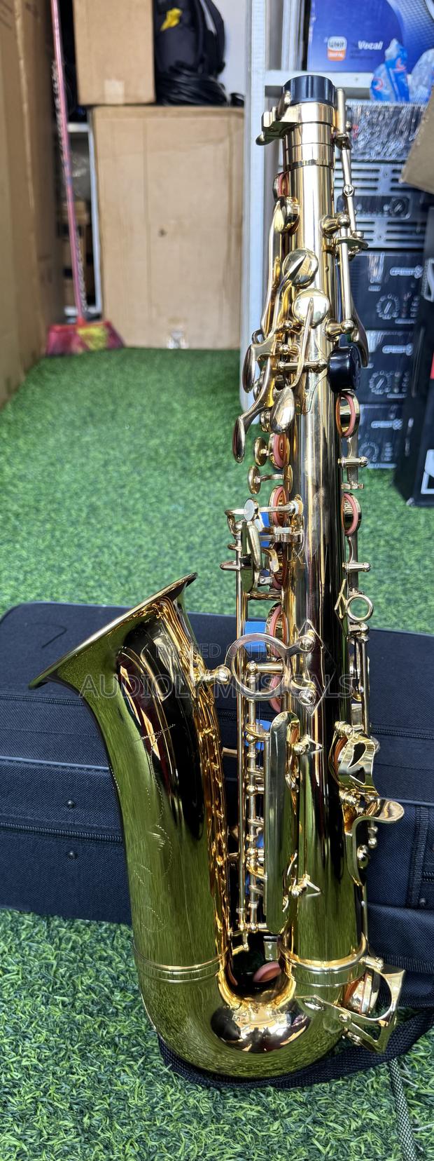Saxophone/Alto- Suck · Photo 7