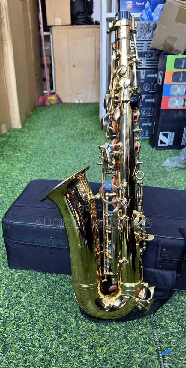 Saxophone/Alto- Suck · Photo 2