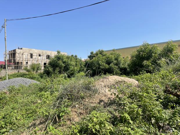 Bring a Car for a Peace of Land at West Trasacco · Photo 2