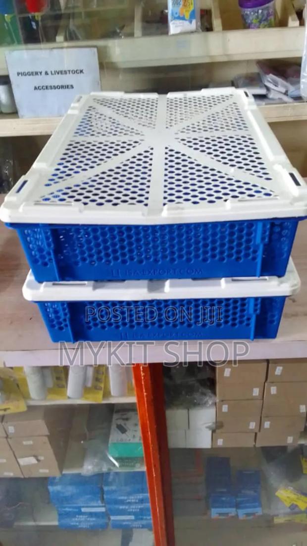 Doc Mini Transport Basket · Photo 1