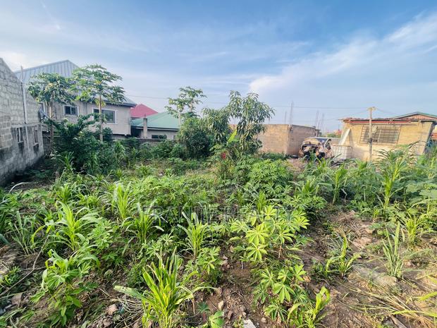 Plot of Land for Sale · Photo 2