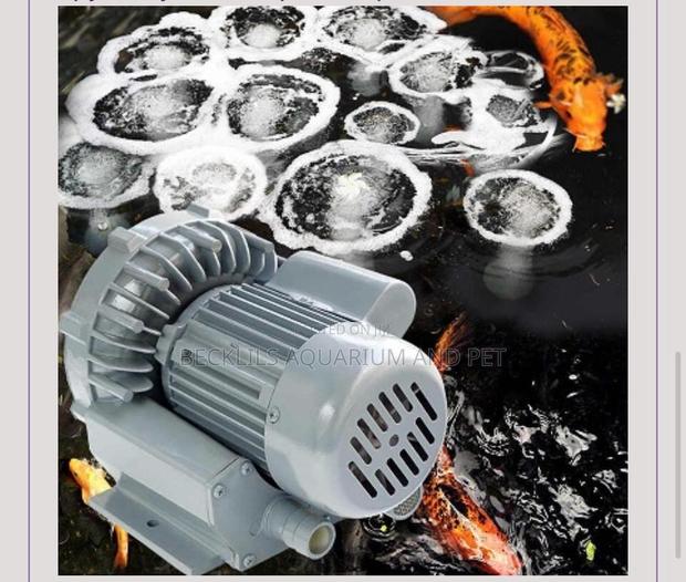 Hailea 24 Outlet Air Blower ( 290 W) · Photo 2