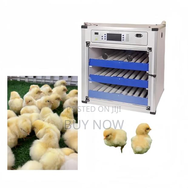 Egg Incubator(204 Capacity Automatic) · Photo 6