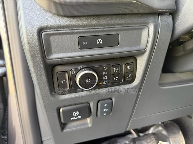 Ford F-150 2025 Gray · Photo 8